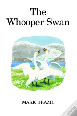 Capa do artigo Whooper Swan