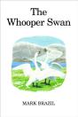 Whooper Swan - Preview