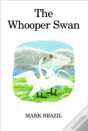 Capa do artigo Whooper Swan