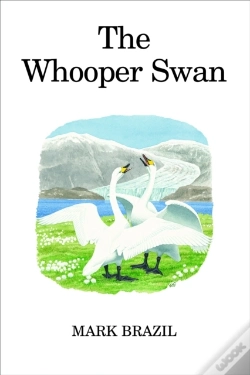 Capa do artigo Whooper Swan
