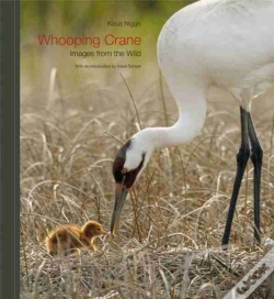 Capa do artigo Whooping Crane