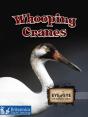 Whooping Cranes - Preview