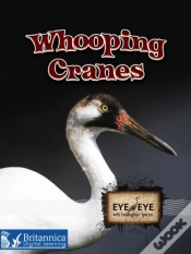 Capa do artigo Whooping Cranes