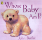 Whose Baby Am I? - Preview