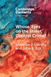 Whose 'Eyes On The Street' Control Crime?
