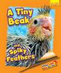 Whose Little Baby Are You? A Tiny Beak And Spiky Feathers - Preview