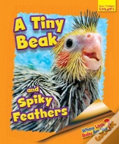 Whose Little Baby Are You? A Tiny Beak And Spiky Feathers