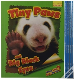Capa do artigo Whose Little Baby Are You?