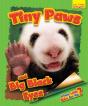 Whose Little Baby Are You? Tiny Paws And Big Black Eyes - Preview
