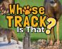 Whose Track Is That? - Preview