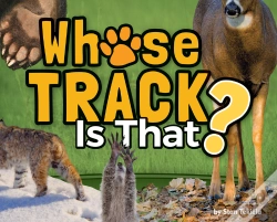 Capa do artigo Whose Track Is That?