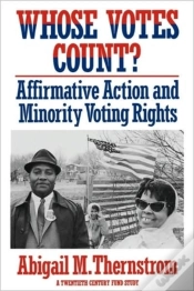 Capa do artigo Whose Votes Count?