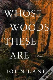 Capa do artigo Whose Woods These Are H993