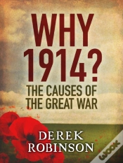 Capa do artigo Why 1914?