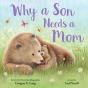 Why A Son Needs A Mom - Preview