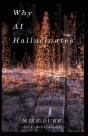 Why Ai Hallucinates - Preview