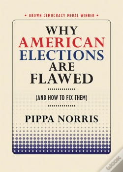 Capa do artigo Why American Elections Are Flawed (And How To Fix Them)