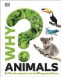 Why? Animals - Preview