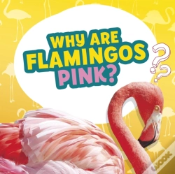 Capa do artigo Why Are Flamingos Pink?