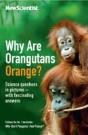 Why Are Orangutans Orange? - Preview
