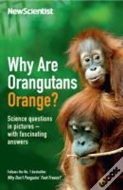 Capa do artigo Why Are Orangutans Orange?