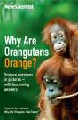 Why Are Orangutans Orange? - Preview