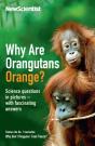 Why Are Orangutans Orange? - Preview