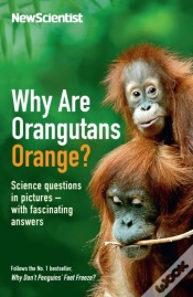 Capa do artigo Why Are Orangutans Orange?