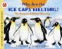 Why Are The Ice Caps Melting? - Preview