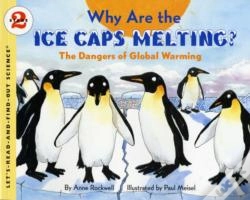 Capa do artigo Why Are The Ice Caps Melting?