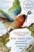 Why Birds Sing