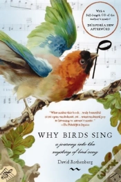 Capa do artigo Why Birds Sing
