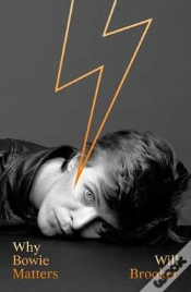 Capa do artigo Why Bowie Matters