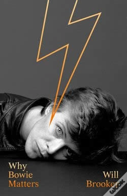 Capa do artigo Why Bowie Matters