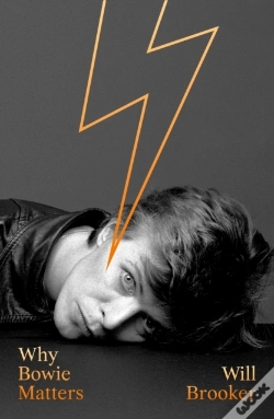 Capa do artigo Why Bowie Matters