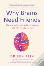 Capa do artigo Why Brains Need Friends