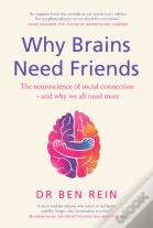 Why Brains Need Friends