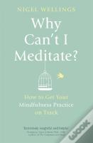 Why Can'T I Meditate?