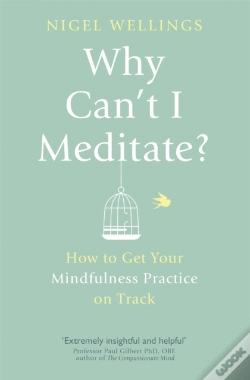 Capa do artigo Why Can'T I Meditate?