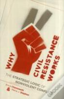 Why Civil Resistance Works