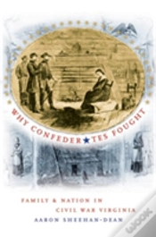 Capa do artigo Why Confederates Fought