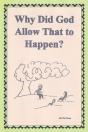 Why Did God Allow That To Happen? - Preview
