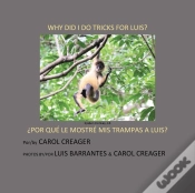 Capa do artigo Why Did I Do Tricks For Luis?