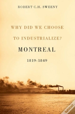 Capa do artigo Why Did We Choose To Industrialize?
