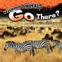 Why Do Animals Go There? - Preview