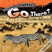 Capa do artigo Why Do Animals Go There?
