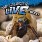 Why Do Animals Live There? - Preview