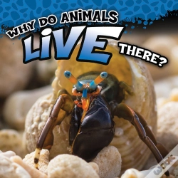 Capa do artigo Why Do Animals Live There?