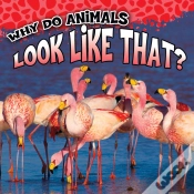 Capa do artigo Why Do Animals Look Like That?