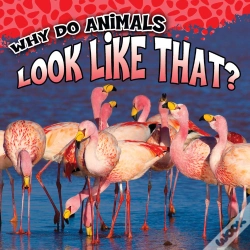 Capa do artigo Why Do Animals Look Like That?